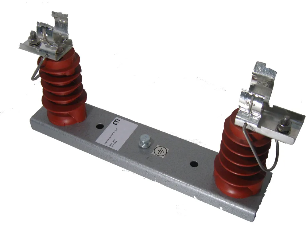 Saugiklių laikiklis VVP 24 1p-N 004259010