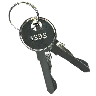 Vaizdas KEY-1333