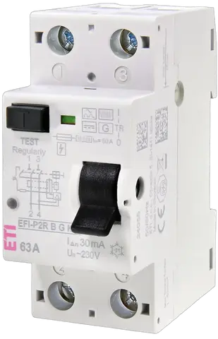Vaizdas EFI-P2R B G/KV 25/0.03