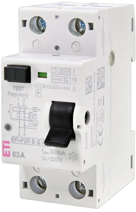 Vaizdas EFI-P2R B G/KV 80/0.03