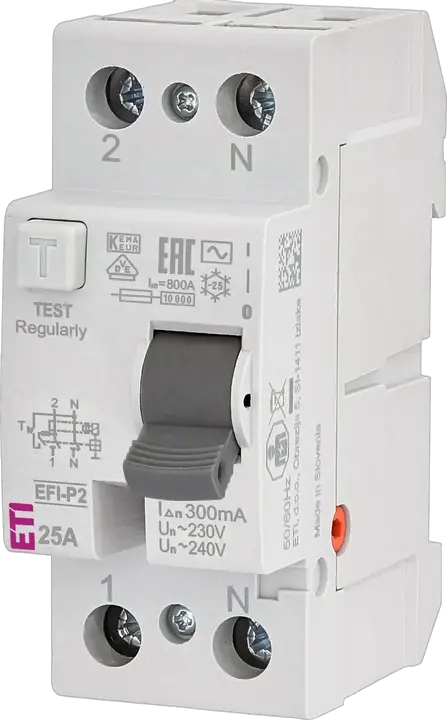 Vaizdas EFI-P2 AC 25/0.3