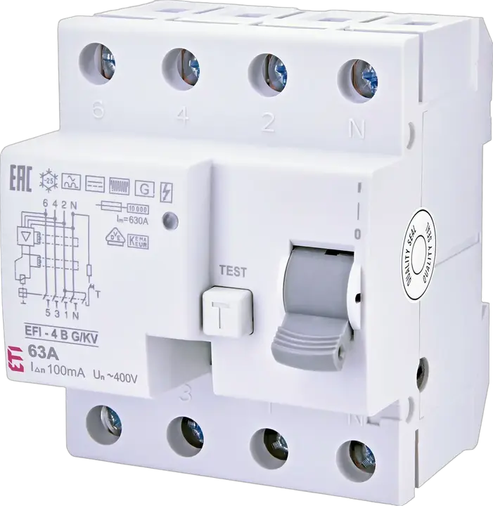 Vaizdas EFI-4 B G/KV 63/0.1