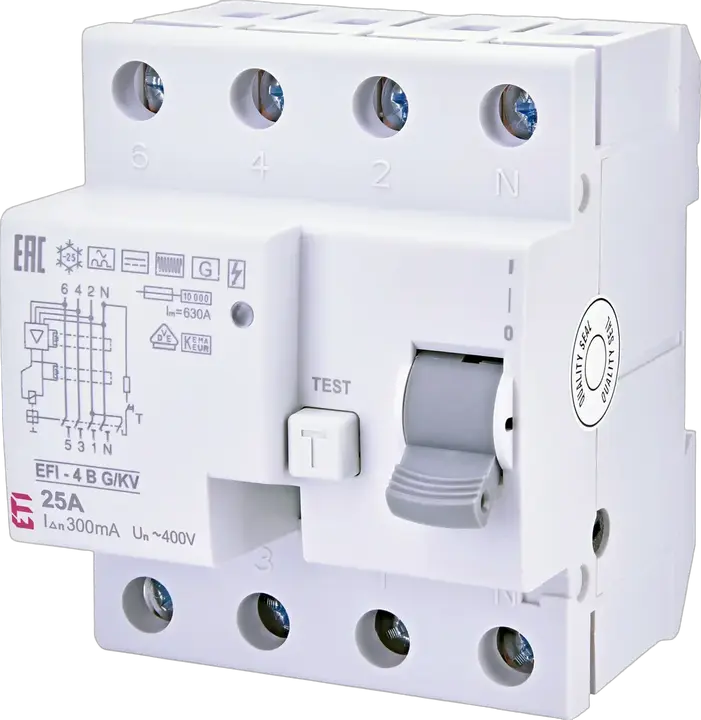 Vaizdas EFI-4 B G/KV 25/0.3
