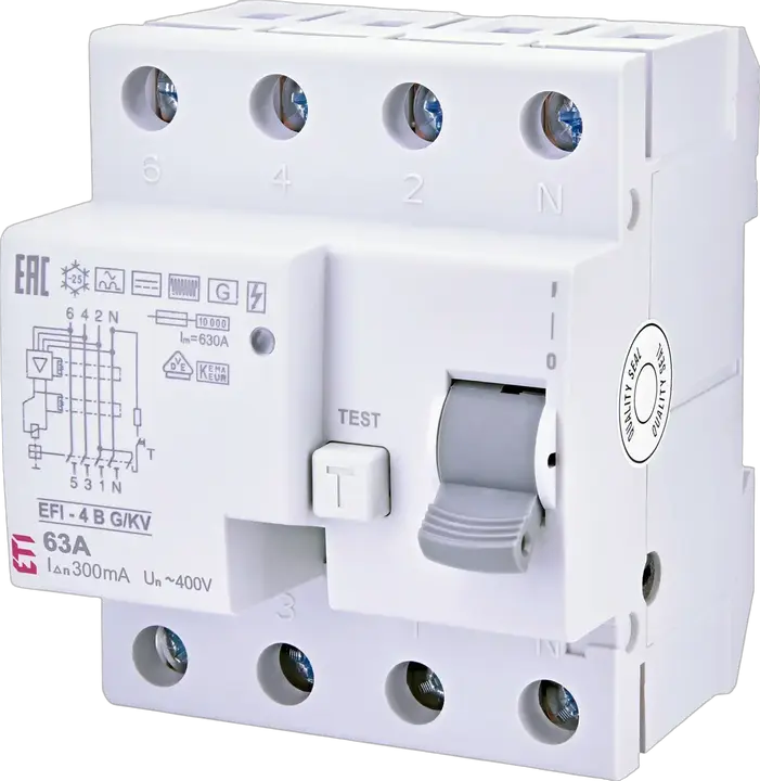 Vaizdas EFI-4 B G/KV 63/0.3