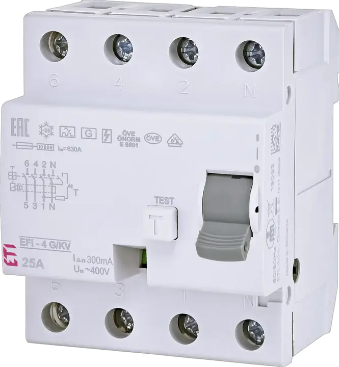 Vaizdas EFI-4 A G/KV 25/0.3