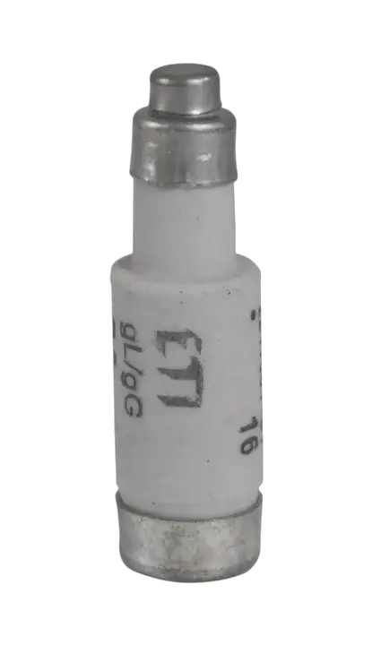 Vaizdas D01 gG 16A/400V
