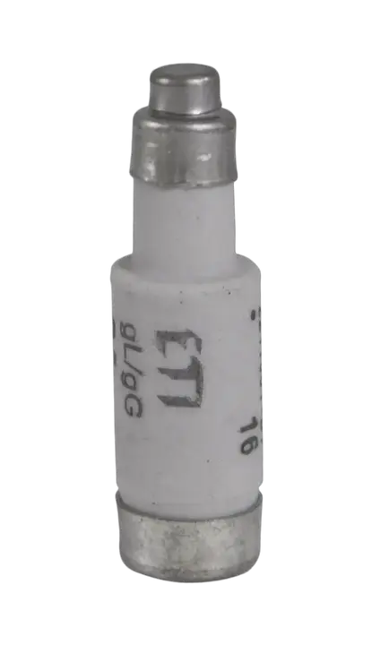 Vaizdas D01 gG 13A/400V