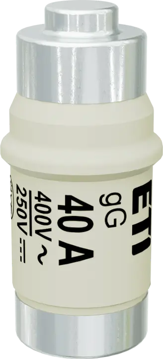 Vaizdas D02 gG 40A/400V