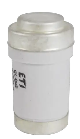 Vaizdas D03 gG 80A/400V