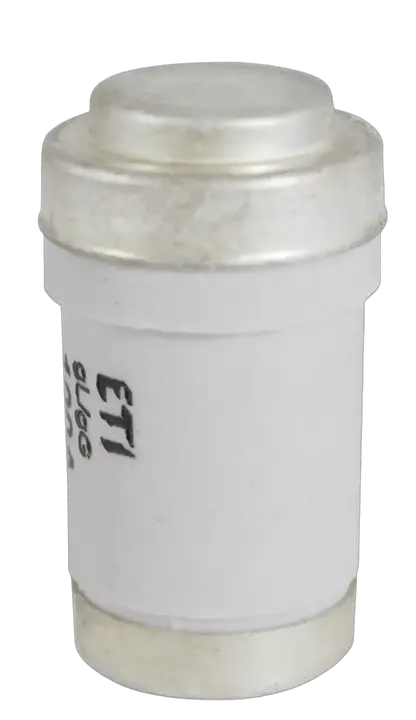 Vaizdas D03 gG 100A/400V