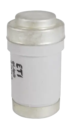 Vaizdas D03 gG 100A/400V