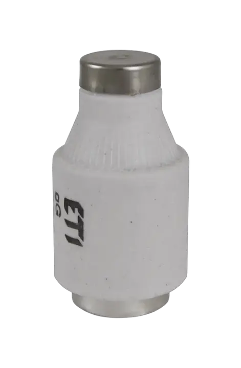 Vaizdas DIII DZ/gF 35A/500V