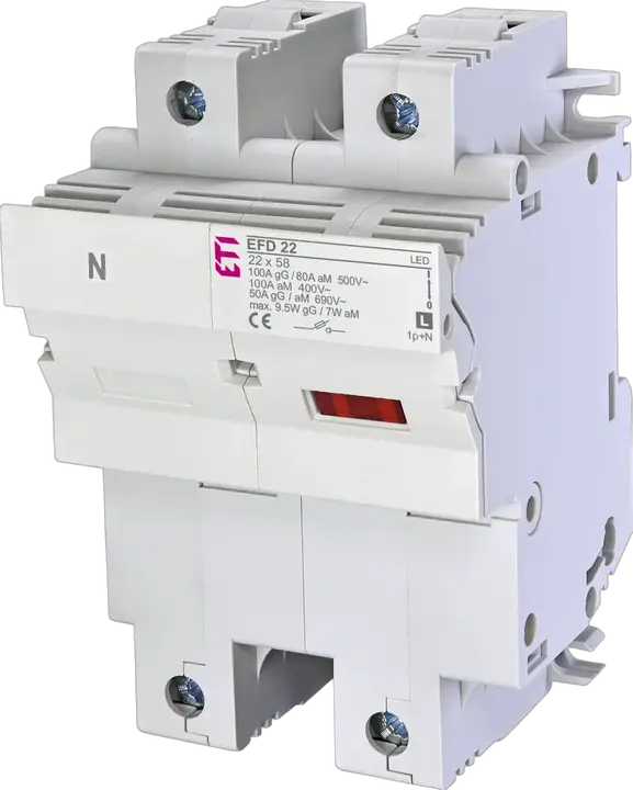 Vaizdas EFD 22 1p+N LED L