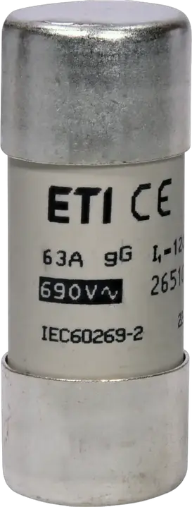 Vaizdas CH22x58 gG 63A/690V