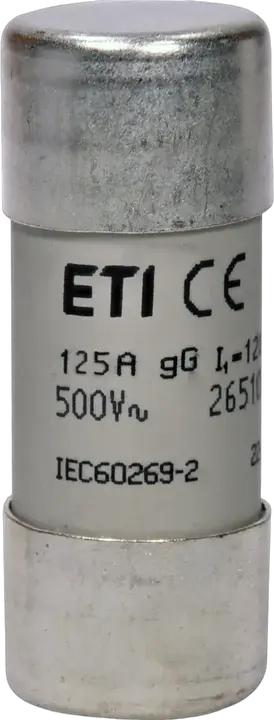 Vaizdas CH22x58 gG 125A/500V