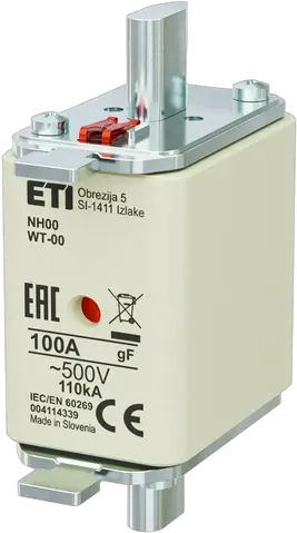 Vaizdas NH00 gF 100A/500V