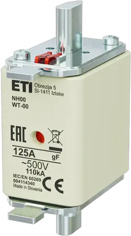Vaizdas NH00 gF 125A/500V