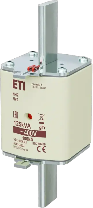 Vaizdas NH2 gTr 180A/400V/125kVA