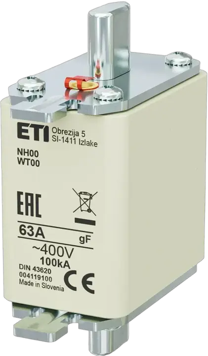 Vaizdas NH00 gF 63A/400V