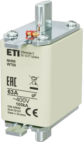Vaizdas NH00 gF 63A/400V