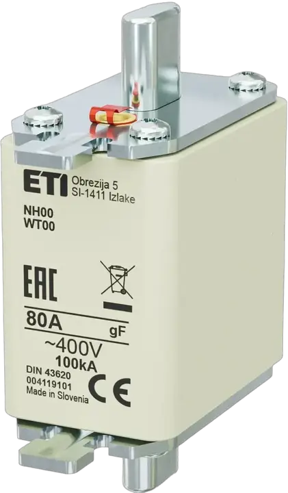 Vaizdas NH00 gF 80A/400V