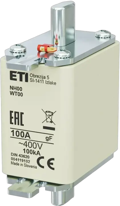 Vaizdas NH00 gF 100A/400V