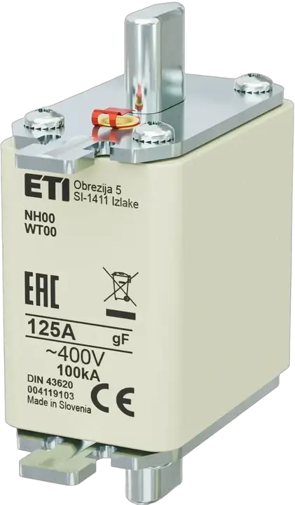 Vaizdas NH00 gF 125A/400V