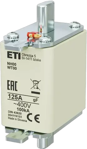Vaizdas NH00 gF 125A/400V