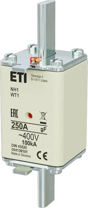 Vaizdas NH1 gF 250A/400V