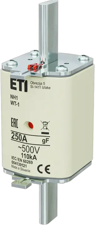 Vaizdas NH1 gF 250A/500V