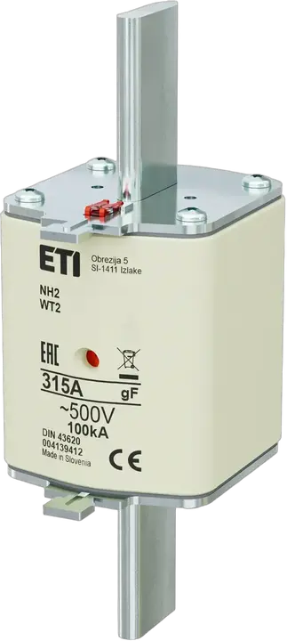 Vaizdas NH2 gF 315A/500V
