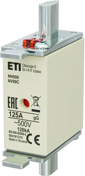 Vaizdas NH000 gG 125A/500V