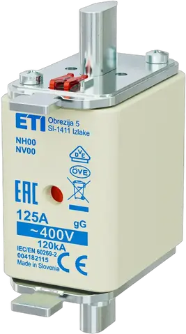 Vaizdas NH00 gG 125A/400V