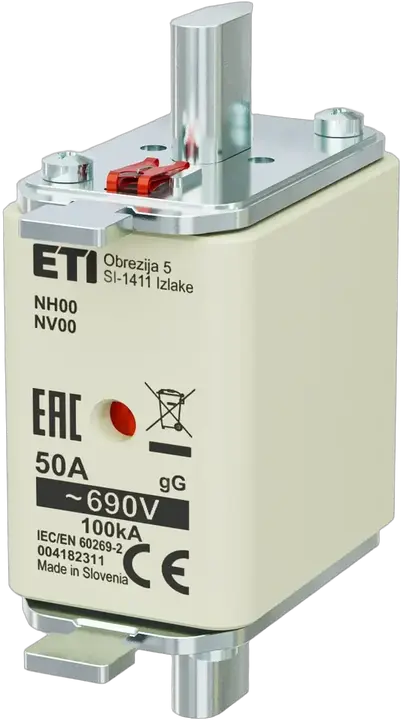 Vaizdas NH00 gG 50A/690V