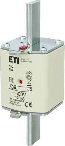 NH2 gG 50A/500V