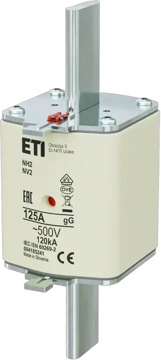 Vaizdas NH2 gG 125A/500V