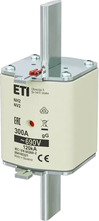 Vaizdas NH2 gG 300A/690V