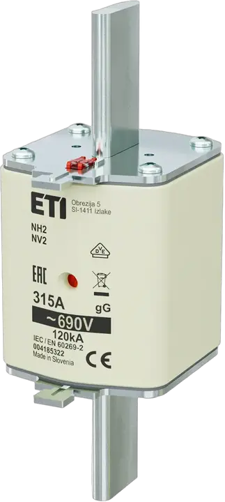 Vaizdas NH2 gG 315A/690V