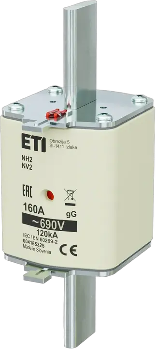 Vaizdas NH2 gG 160A/690V