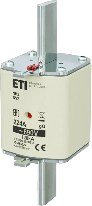 Vaizdas NH2 gG 224A/690V