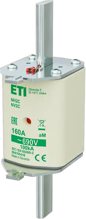 Vaizdas NH2C aM 160A/690V
