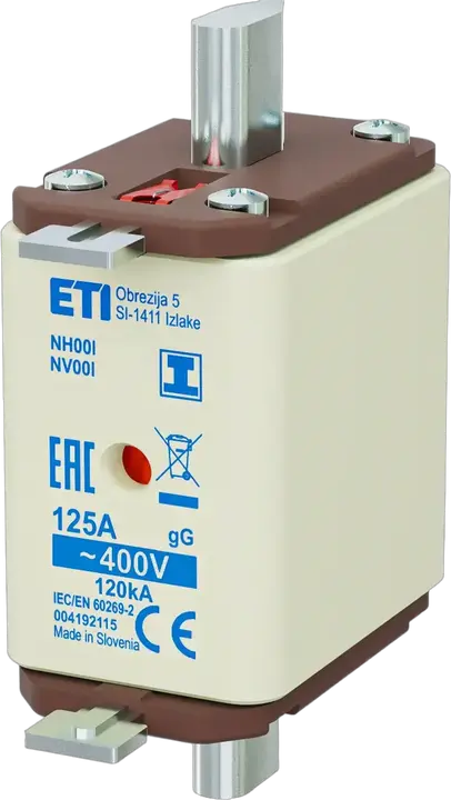 Vaizdas NH00/I gG 125A/400V