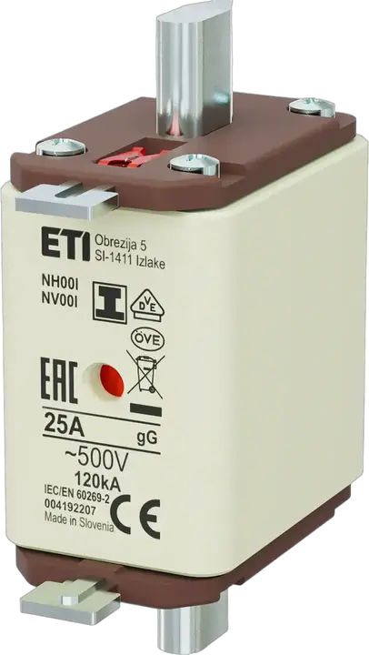 Vaizdas NH00/I gG 25A/500V