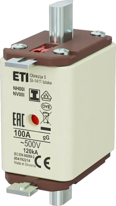 Vaizdas NH00/I gG 100A/500V
