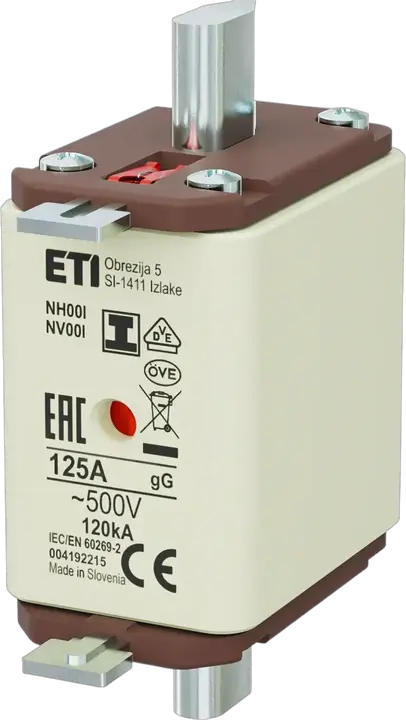 Vaizdas NH00/I gG 125A/500V