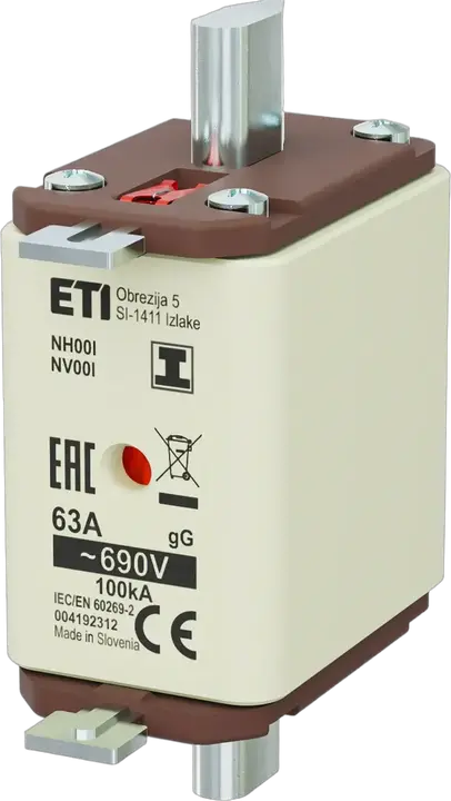Vaizdas NH00/I gG 63A/690V