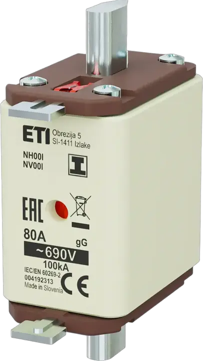 Vaizdas NH00/I gG 80A/690V