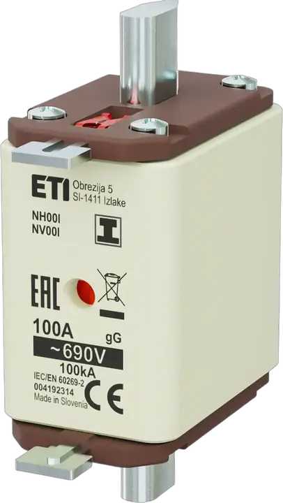 Vaizdas NH00/I gG 100A/690V