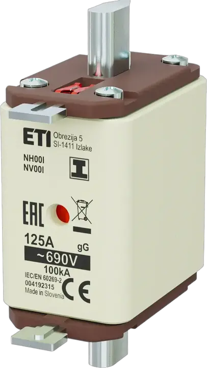 Vaizdas NH00/I gG 125A/690V