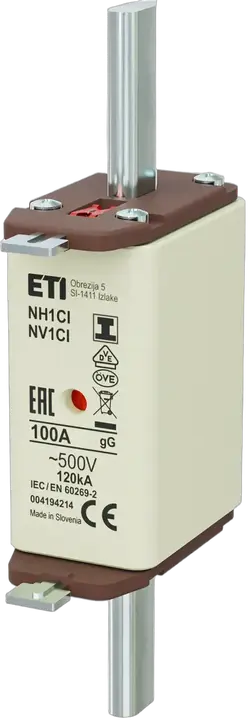 Vaizdas NH1C/I gG 100A/500V